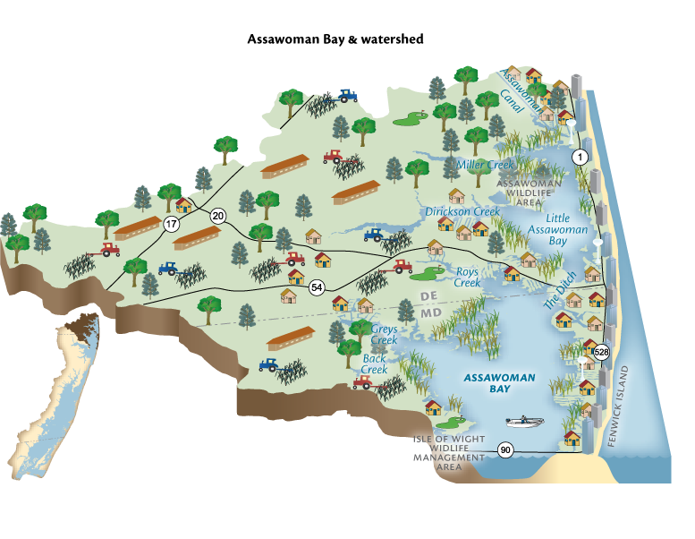 The Assawoman Bay Diagram