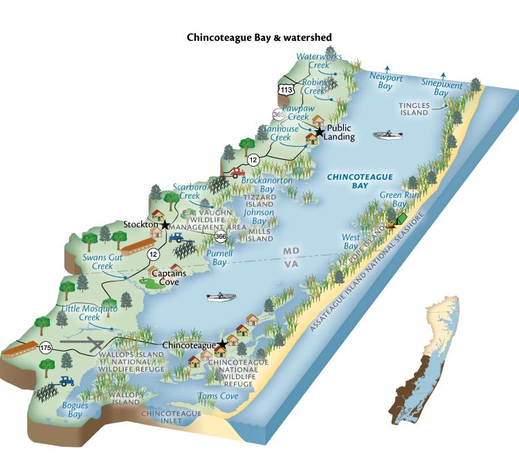 Chincoteague Bay Diagram