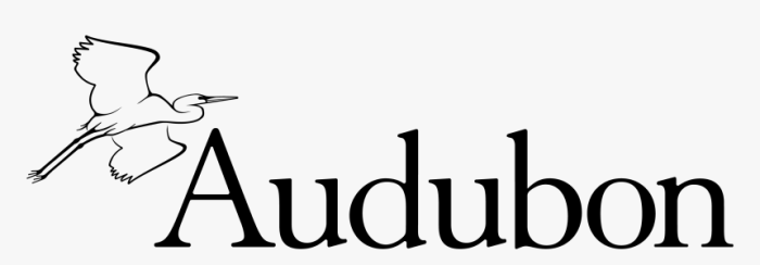 Audubon