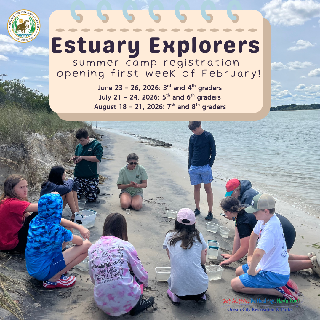 Estuary Explorers