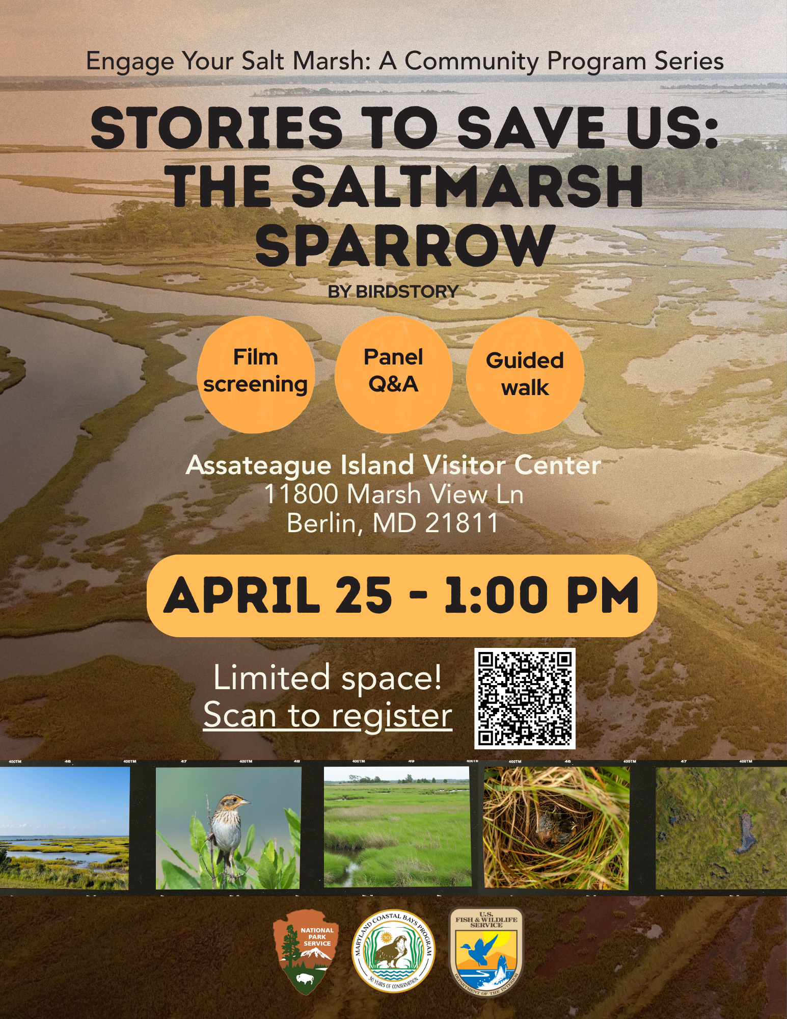 Engage Your Salt Marsh Program Flyers